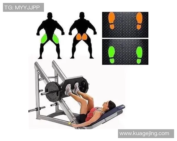 飞鸟健身器材应用及滑轮系统优势解析