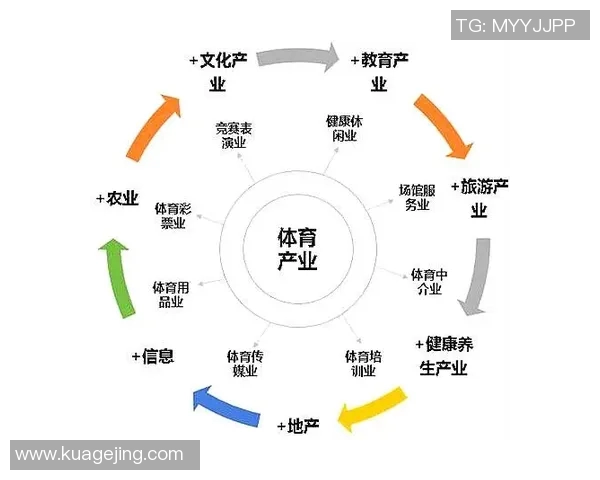 以M体育为核心推动力 解析体育产业新格局与未来发展趋势